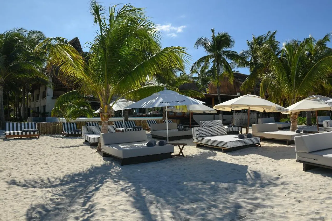 Casa Del Jaguar Beach Hotel Isla Mujeres